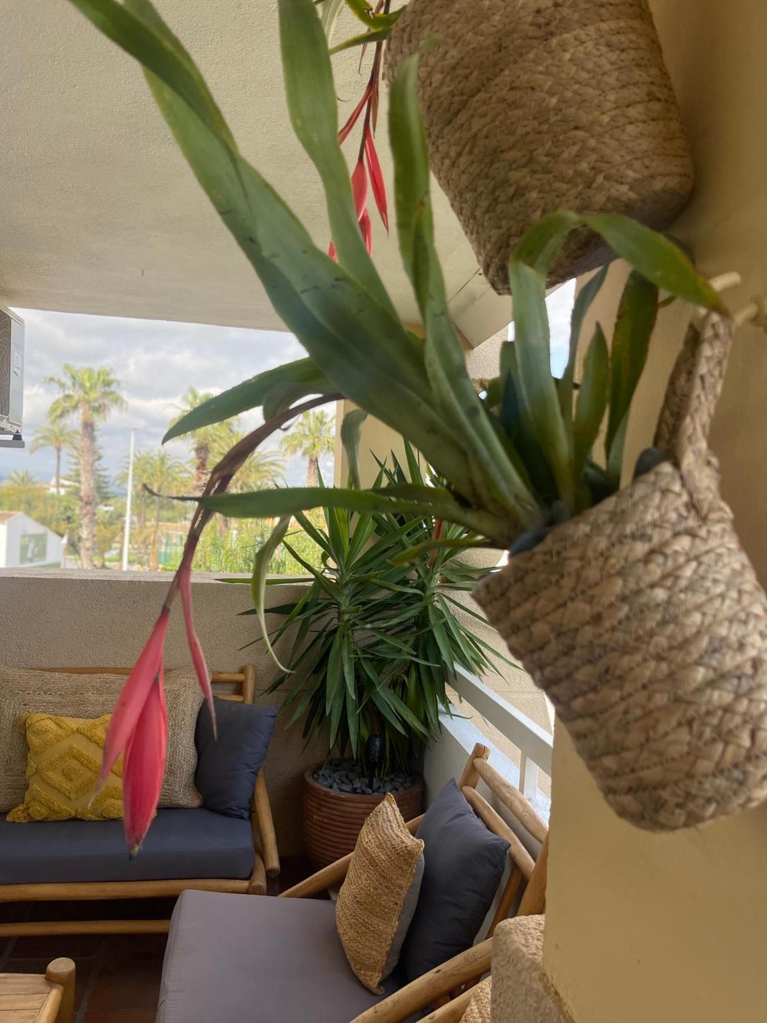 The Beach House Playa Del Arenal Javea - Pool And Garden Steps From The Beach Platja de Larenal Exteriér fotografie